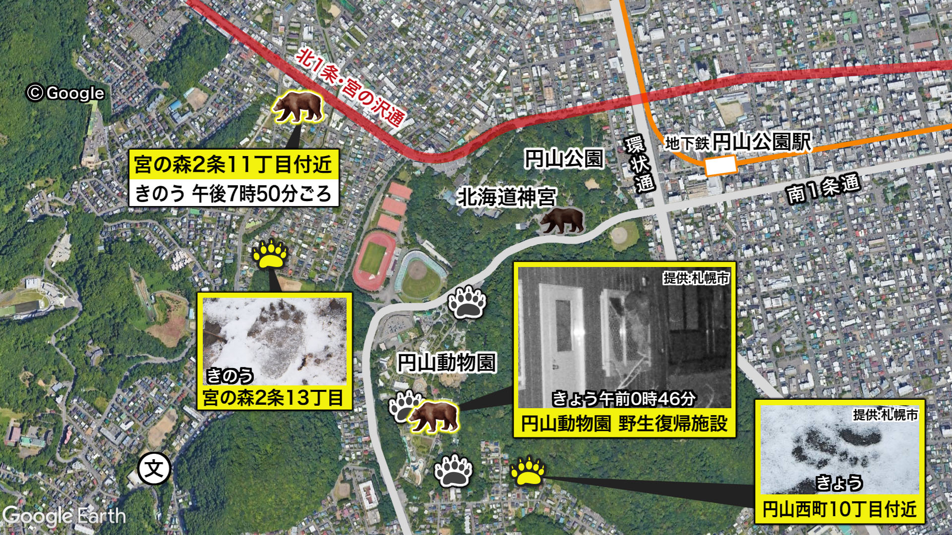 11月11日、12日に札幌で目撃されたクマの出没まとめ