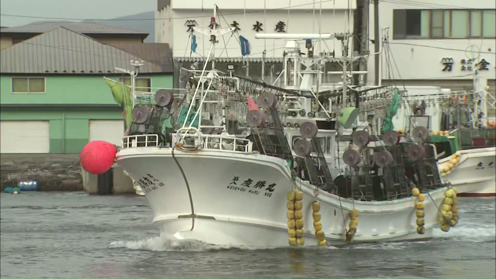 道は「資源調査」の形で398トンを上限に漁の再開を認める