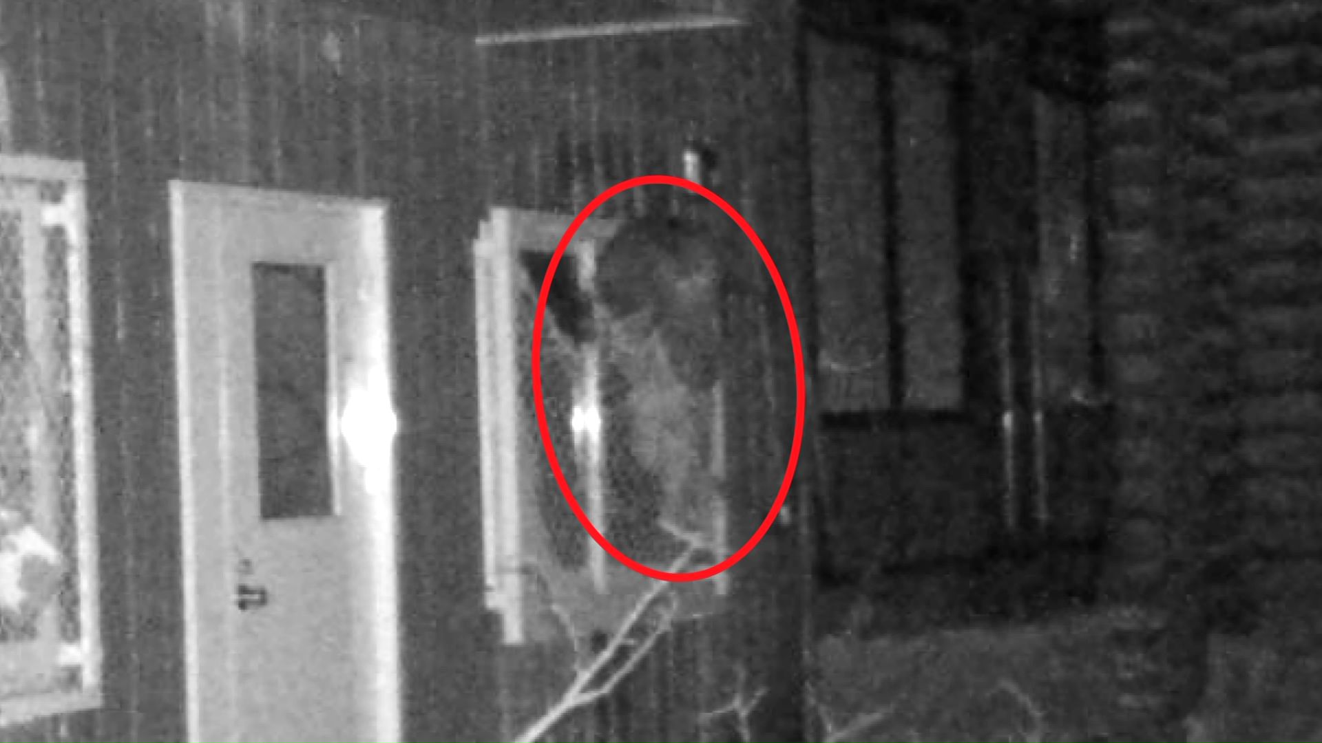 11日に撮影されたクマ（提供：札幌市）