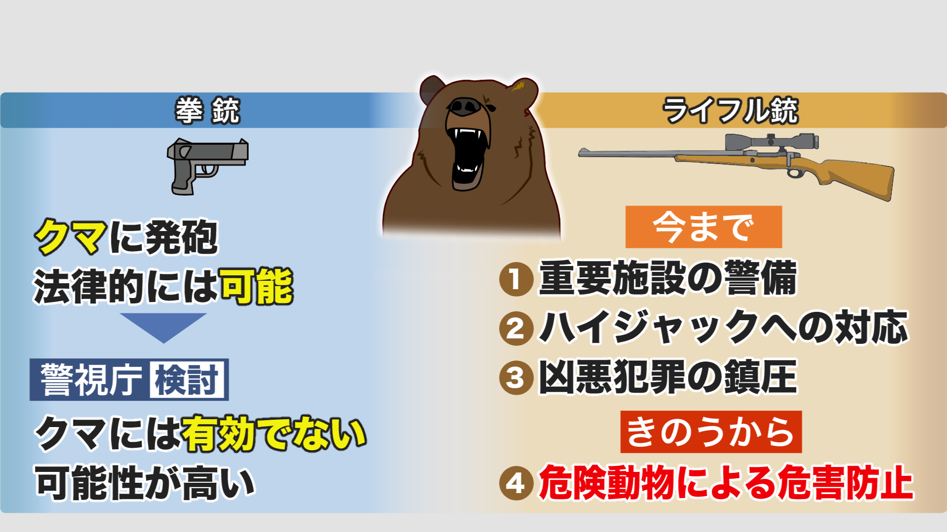 拳銃ではクマに太刀打ちできない…