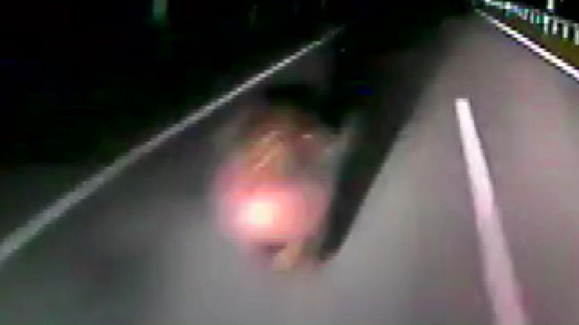 バスが道路上にいたクマと衝突(提供:宗谷バス)