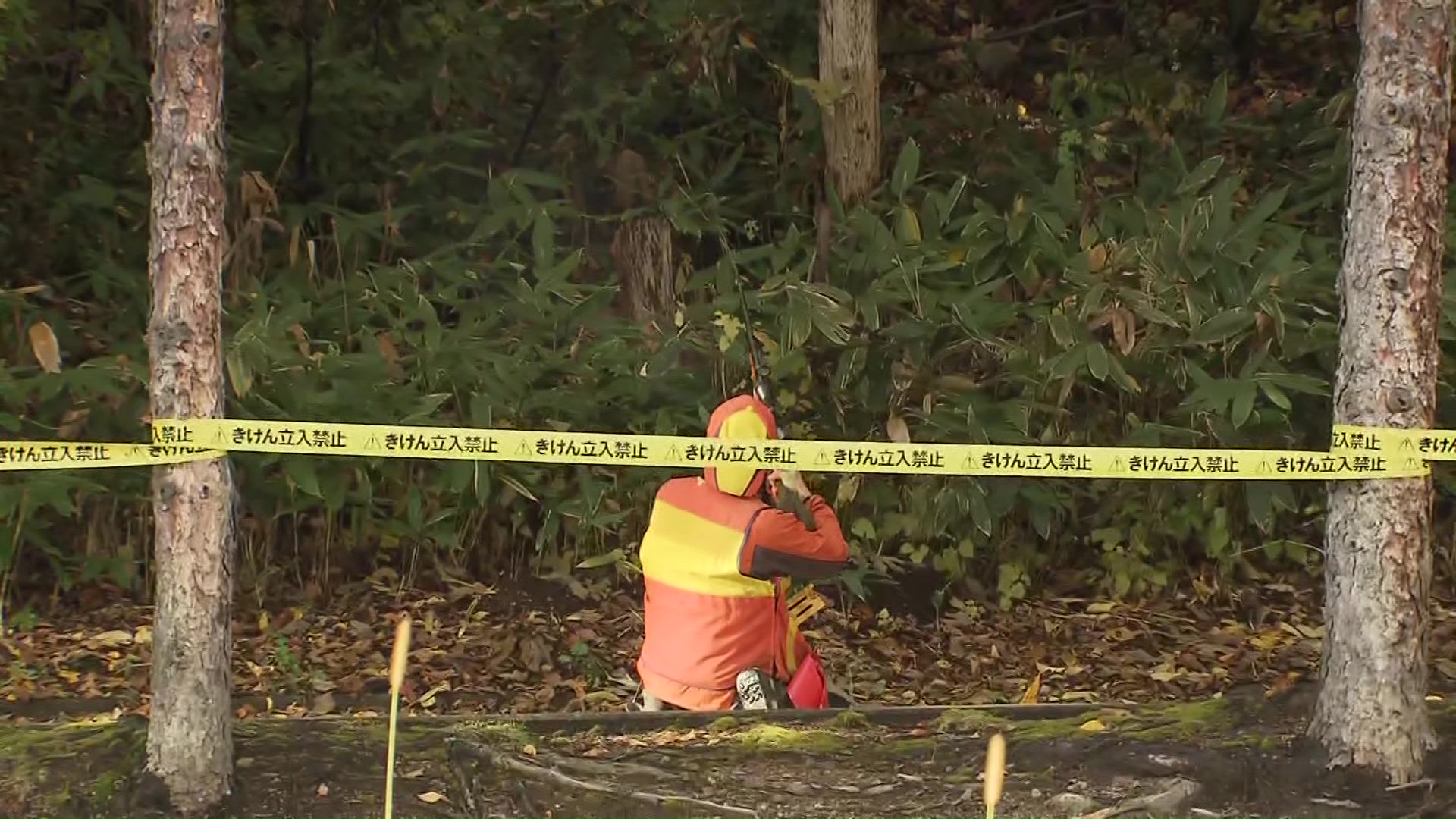 「ガバメントハンター」制度の早期整備を求める声も（資料写真）