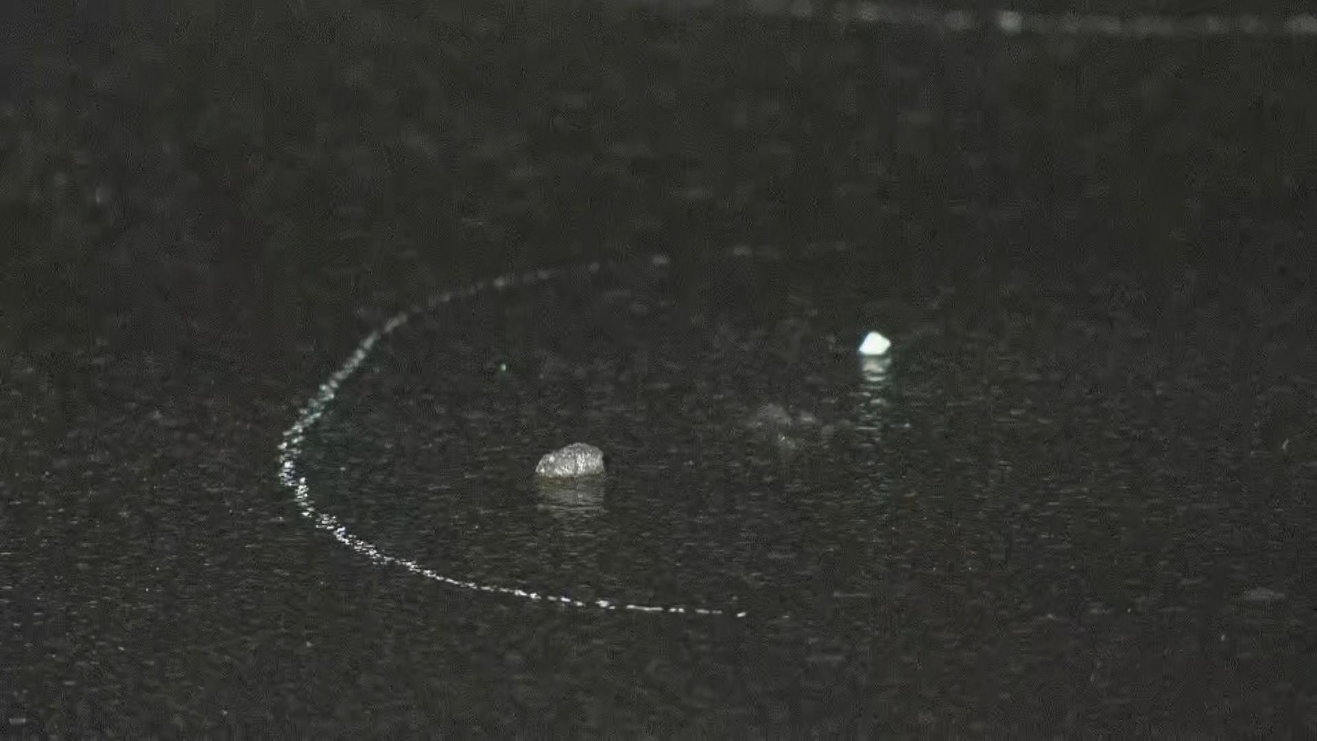 事故があった現場