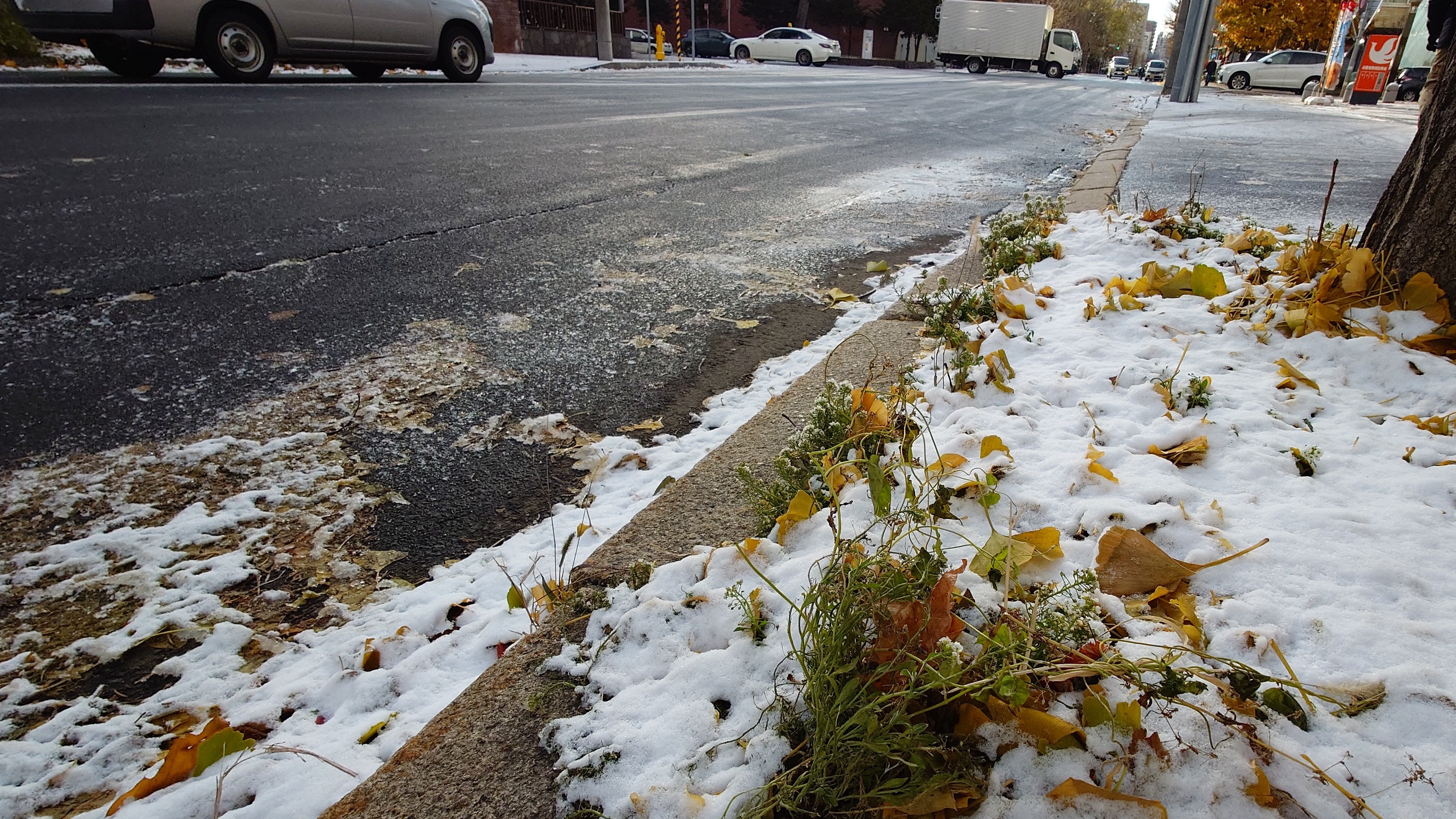 札幌市内の道路の状況(18日 午前8時30分ごろ)
