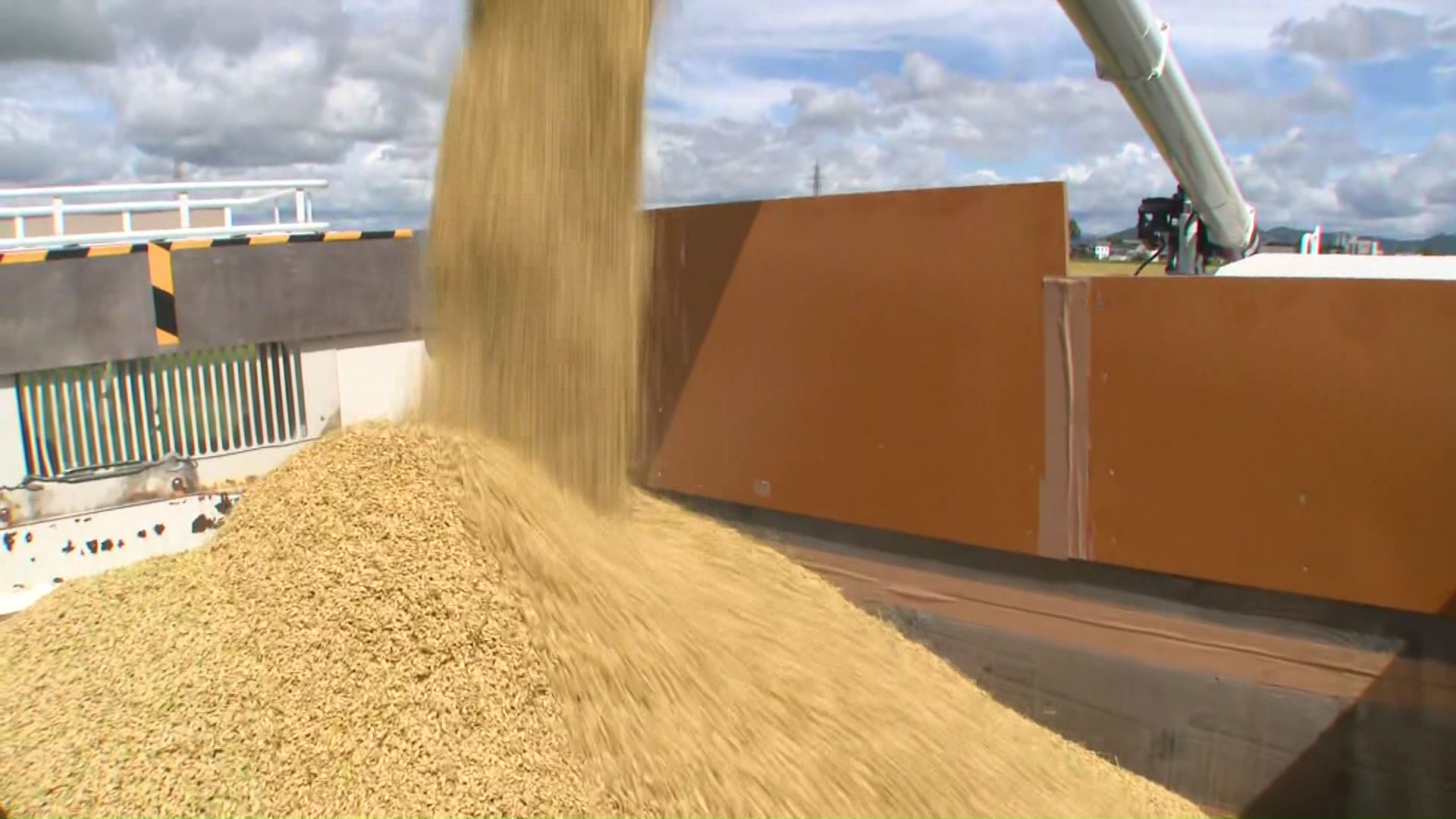 前年より約6％増の49万6000トンになる見通し