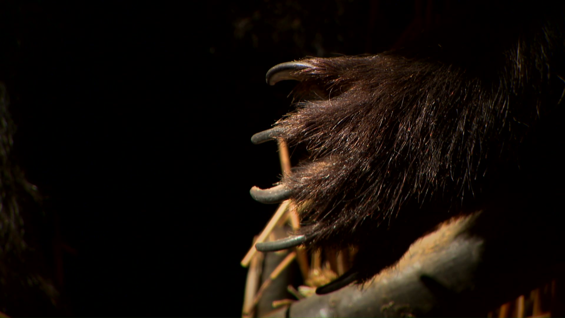 2日間で7人の命が奪われた