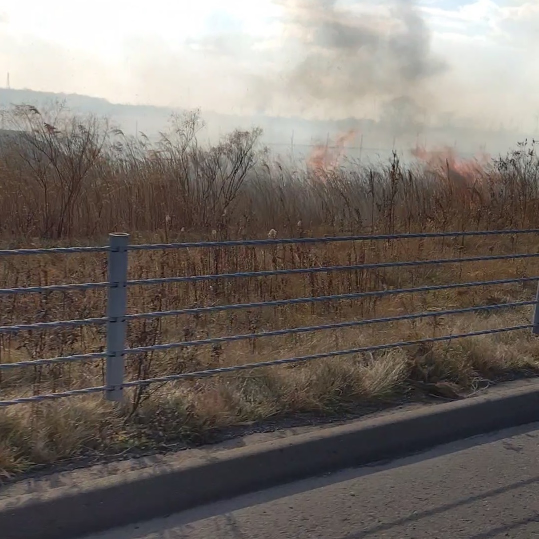 草むらにも延焼（撮影：視聴者）