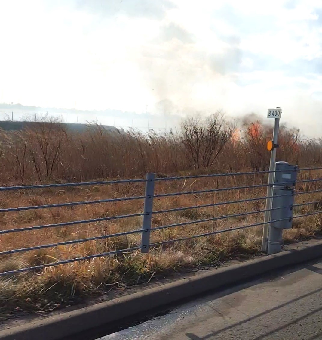道路周辺の草むらにも引火(撮影:視聴者)
