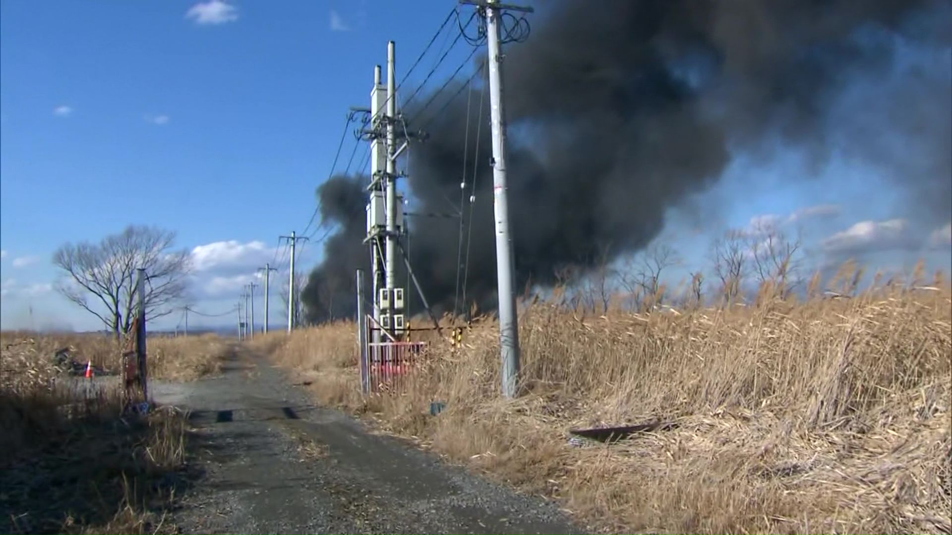 火が周辺の枯草などに燃え広がった
