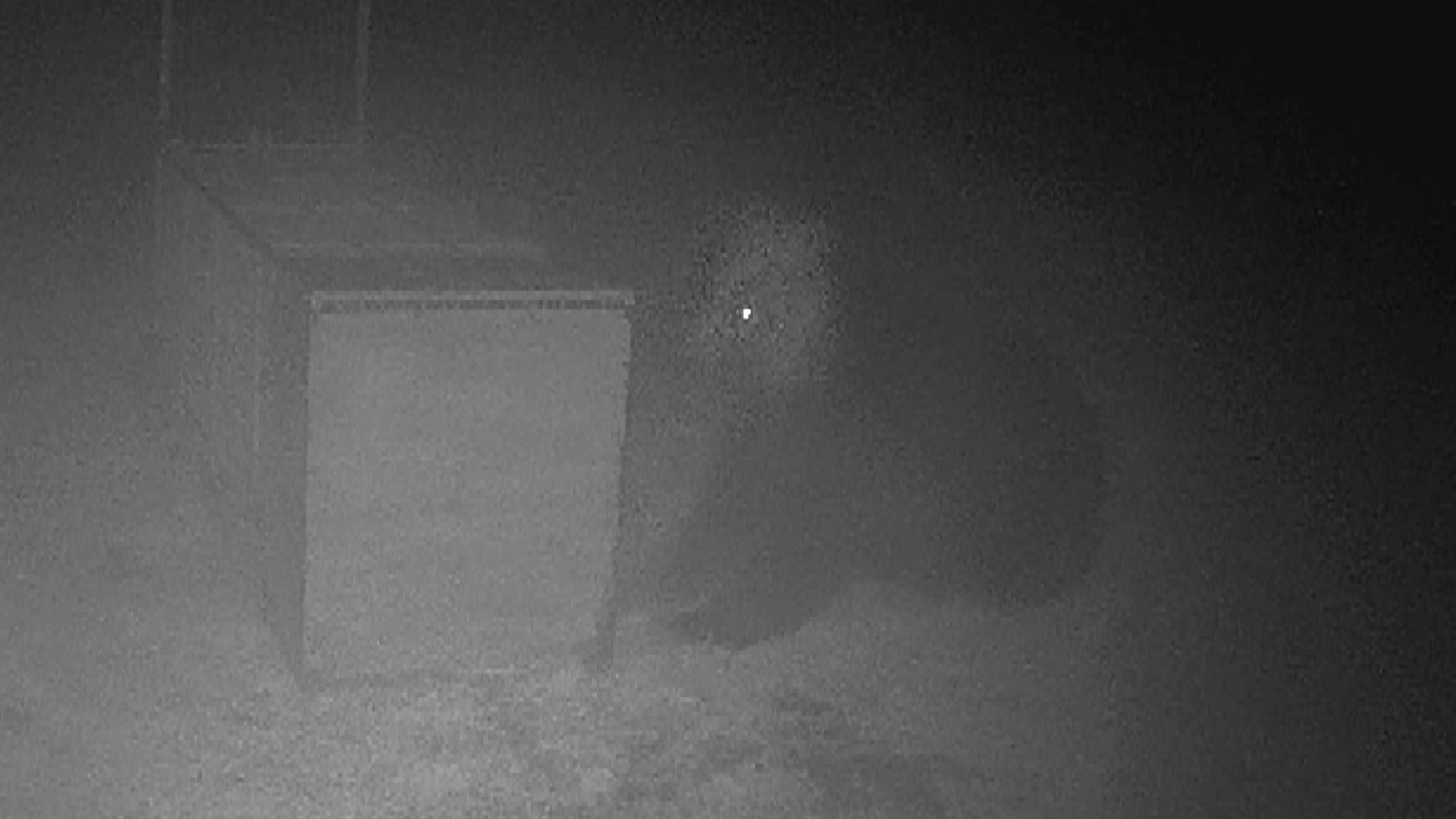 11月24日の夜（提供：林会長）