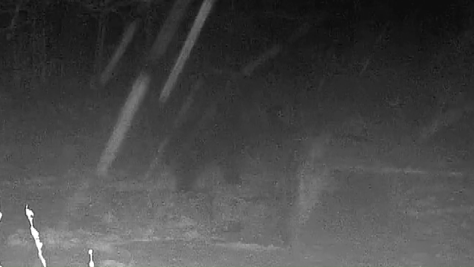 クマがいとも簡単にひっくり返した（提供：林会長）