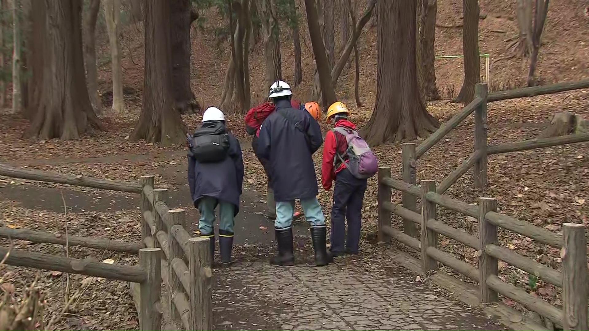 今の時点ではヒグマの可能性は低いという
