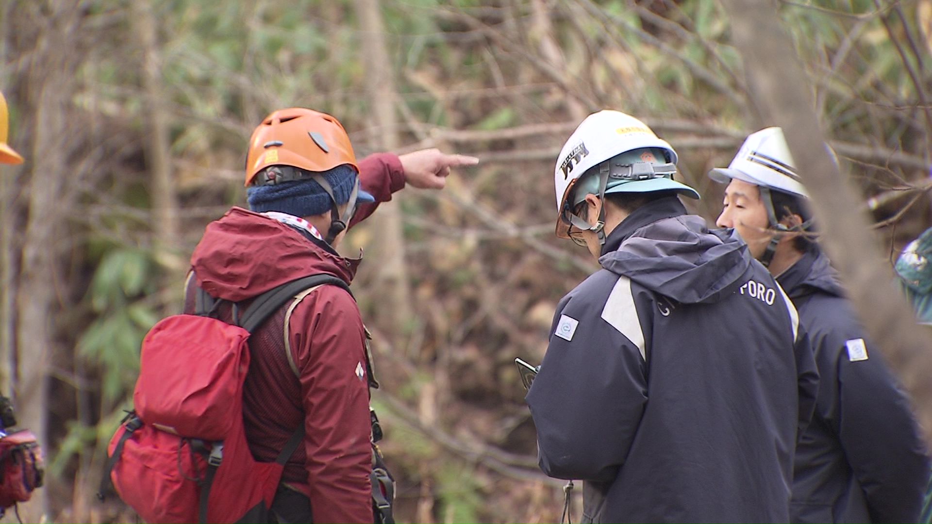 札幌市南区藤野でも目撃が相次いだ