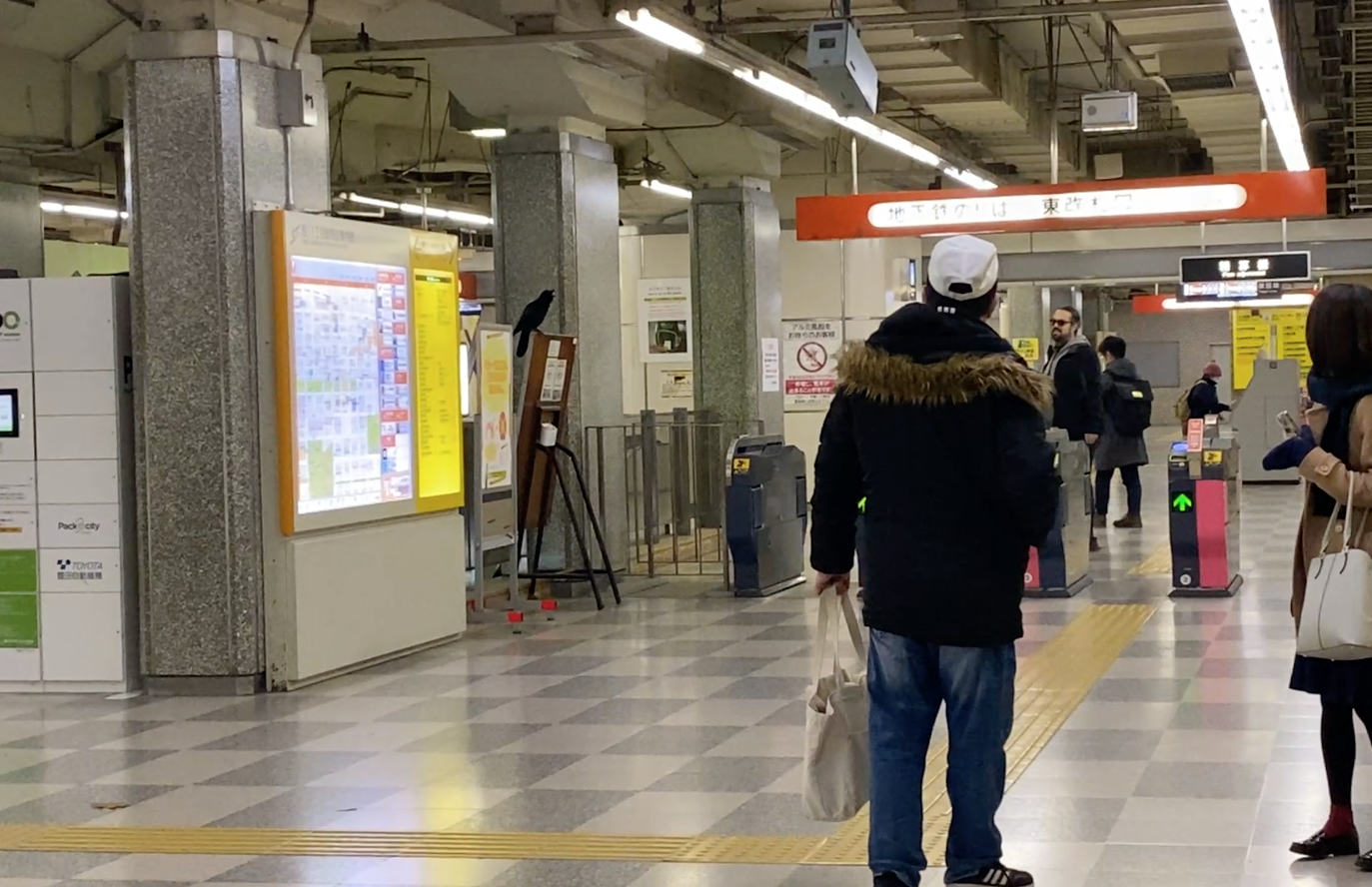 地下鉄東西線西11丁目駅に迷い込んだカラス