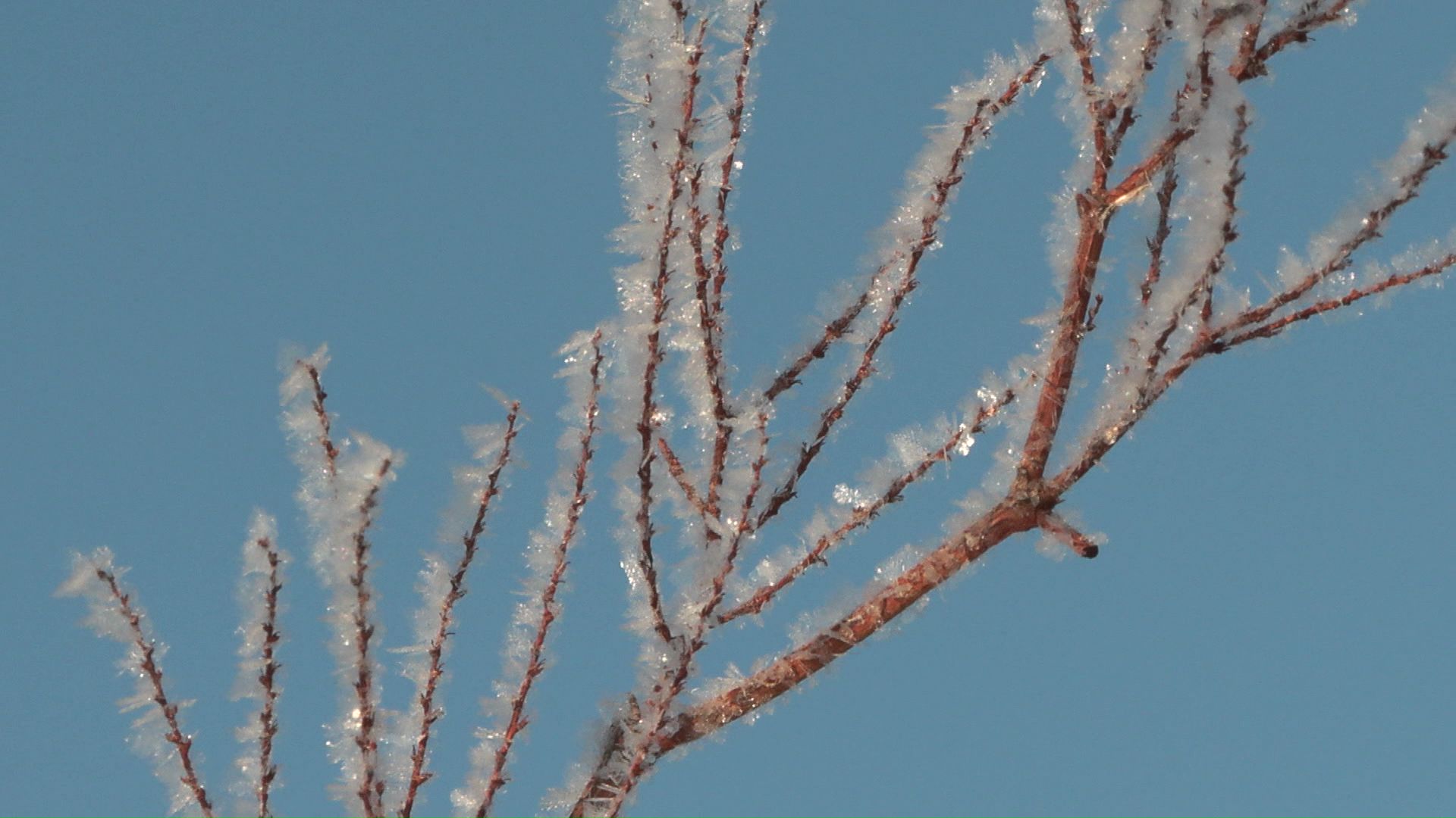 「霧氷」もみられる