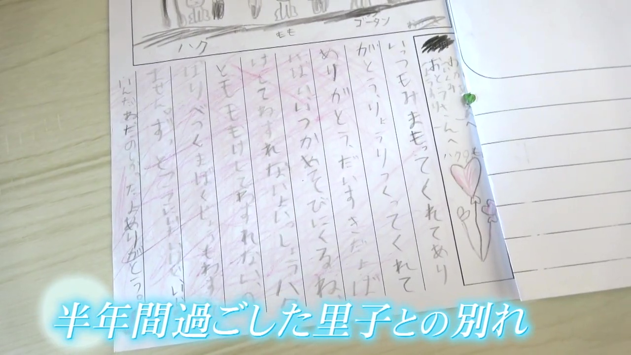 半年間過ごした里子からの手紙