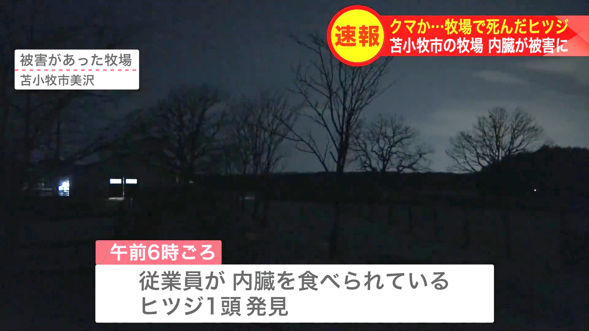 内臓を食べられている羊が見つかった牧場