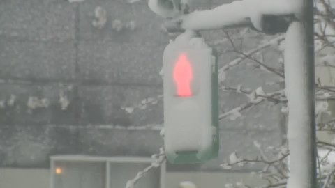 着雪した信号機（紋別市）