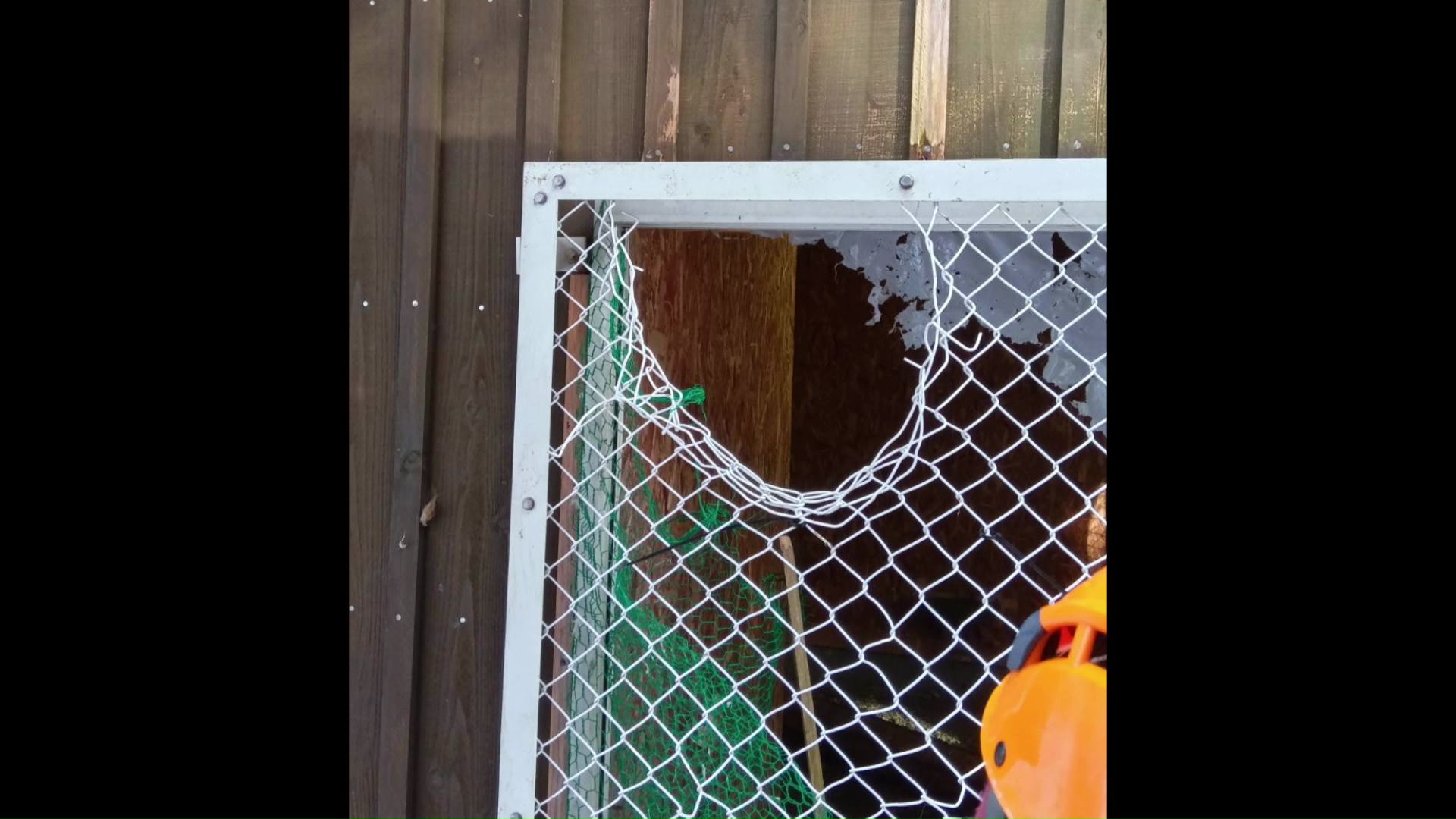 クマにより破られた建物の金網(提供:札幌市)