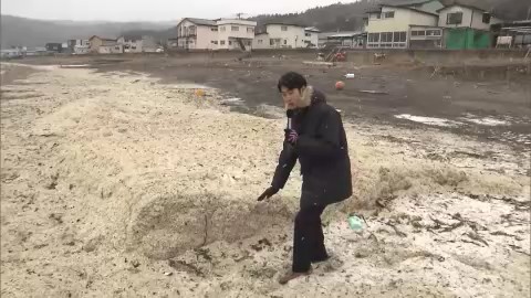 【資料】2024年1月　函館市の海岸に堆積した大量のイワシの骨