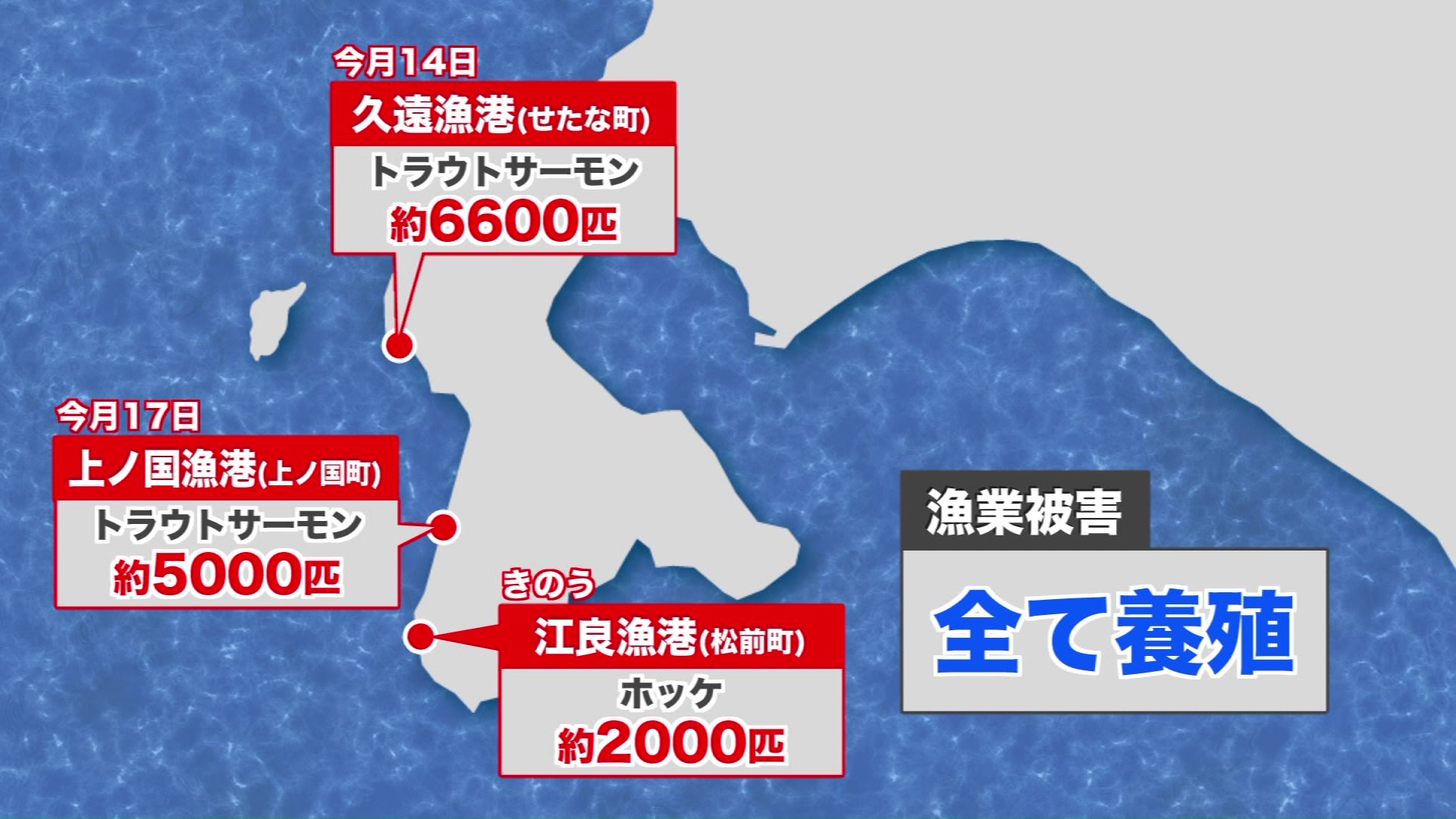 イワシと養殖魚が死ぬ現象が起きた漁港