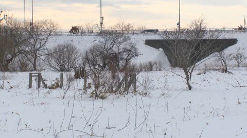 約6000枚のソーラーパネルを設置する予定の大楽毛地区