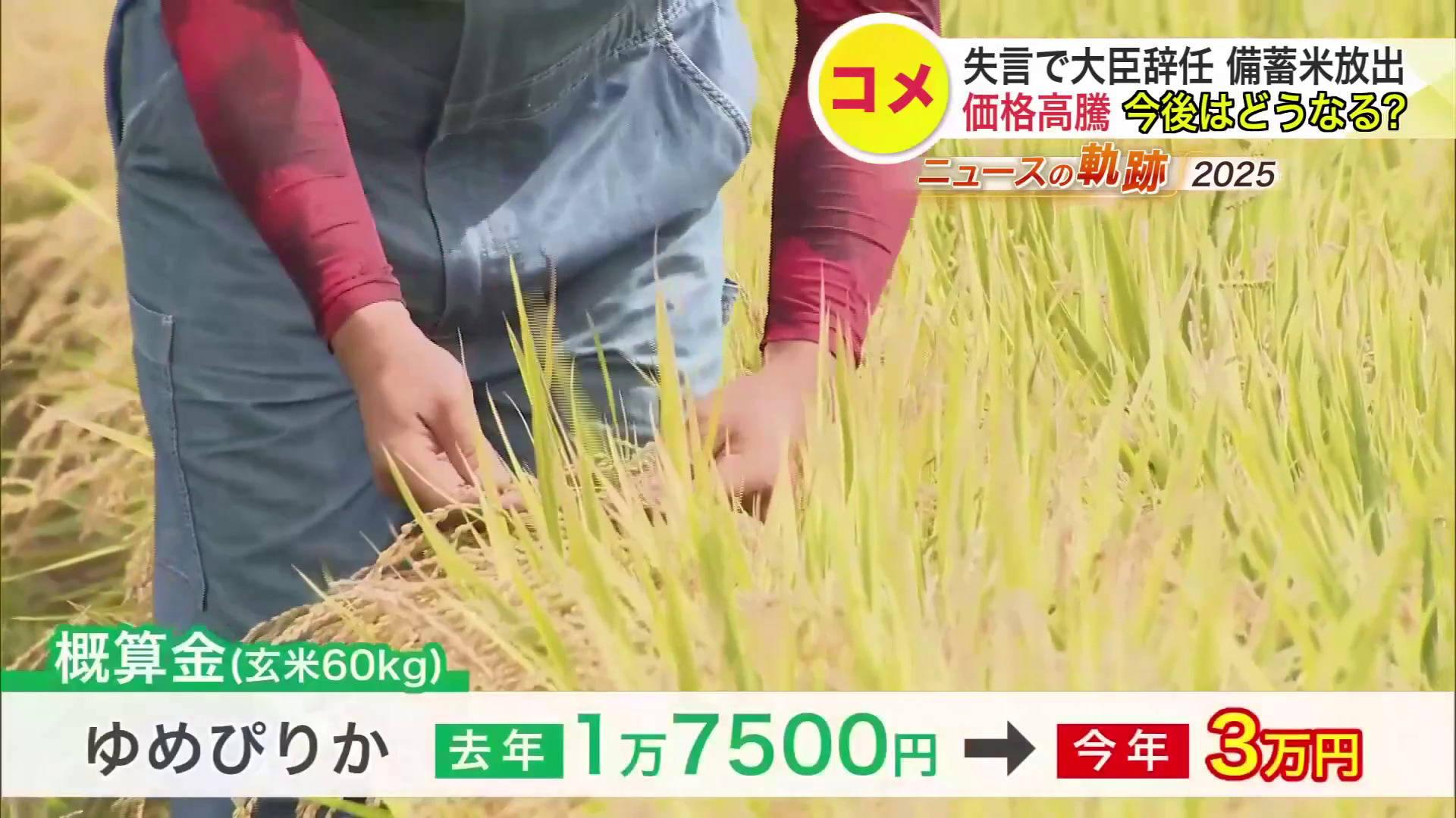 「概算金(玄米60キロ)」が2025年に3万円にまで引き上がった