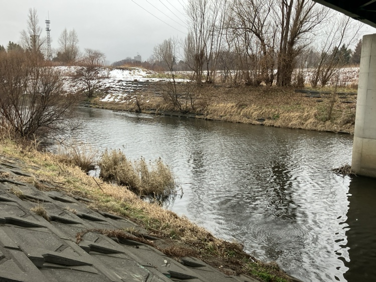 遺体が見つかった現場