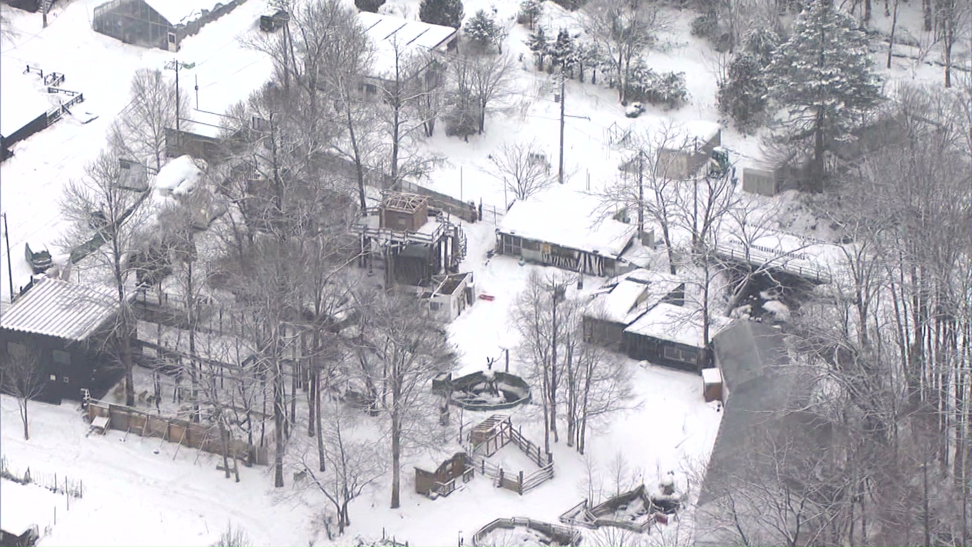 12月26日が撤去期限も建築物は残存