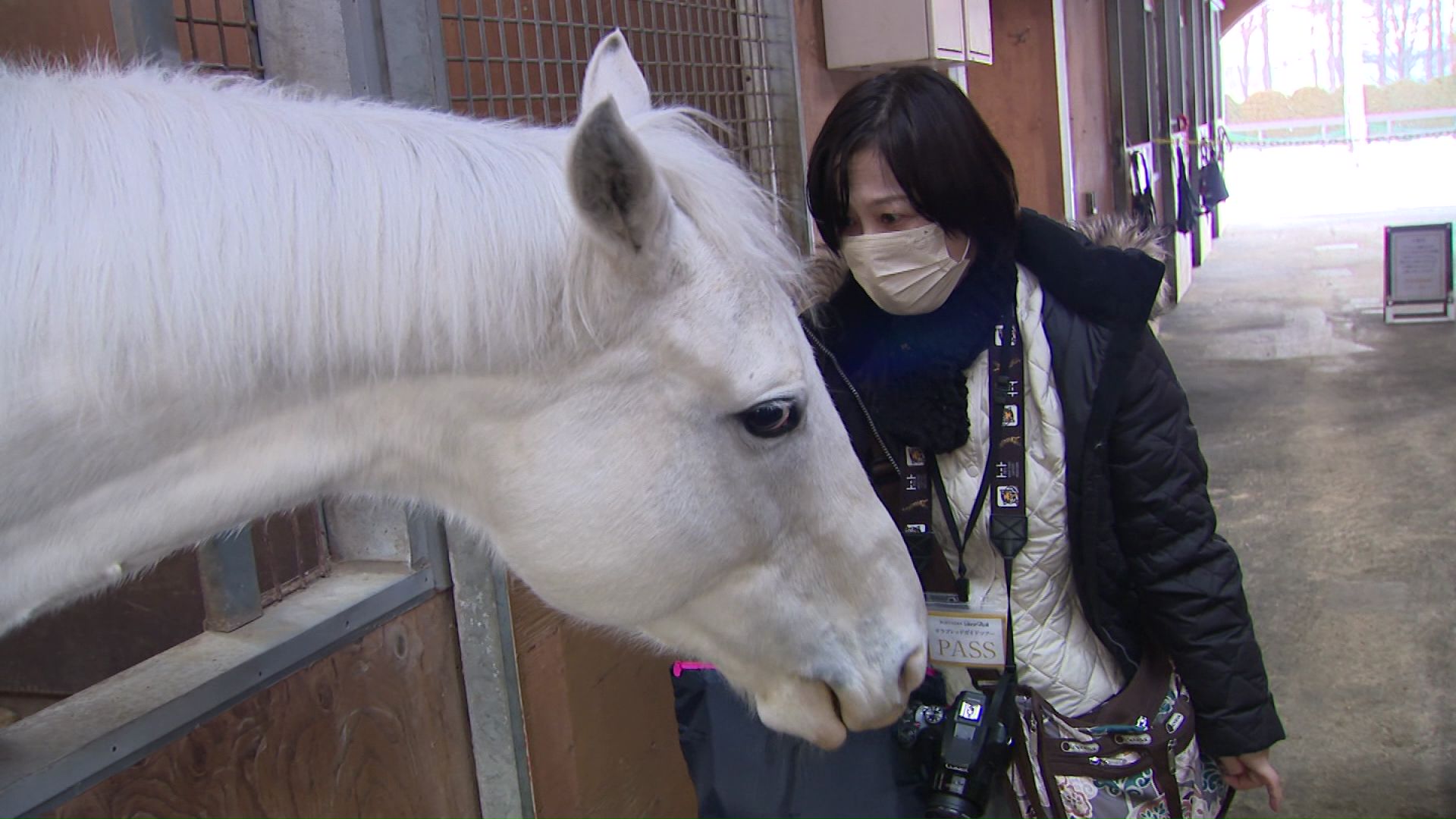 白馬の「ハヤヤッコ号」