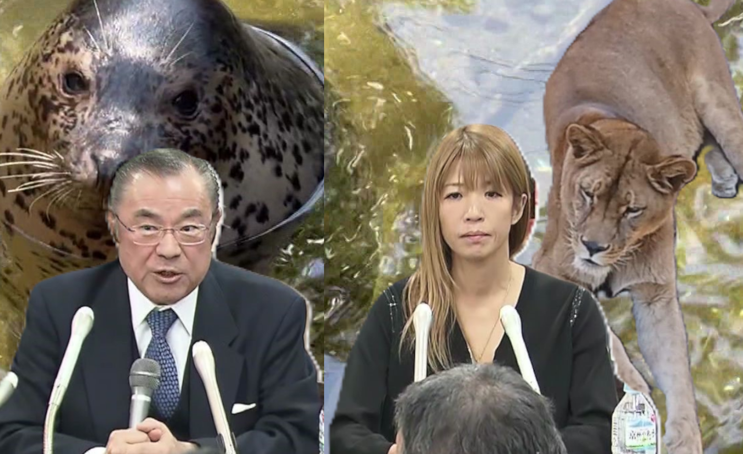 後継に名乗りをあげた「ビーチキャピタル」