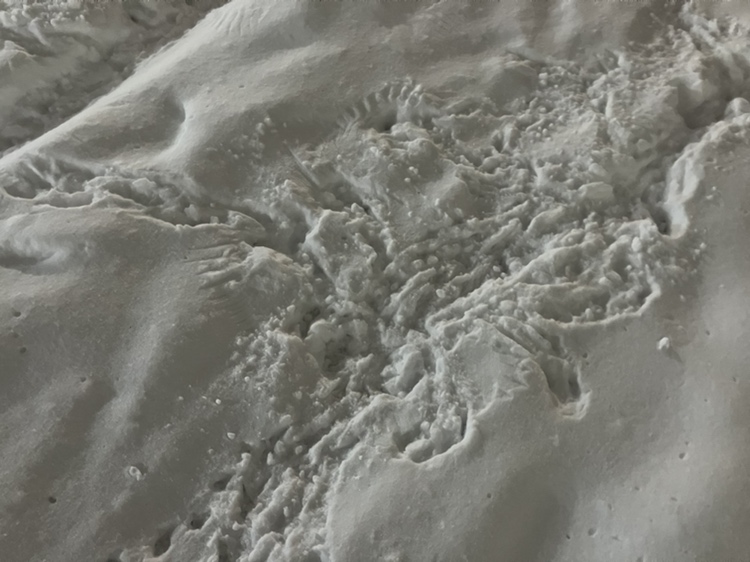 女性が倒れていたとみられる現場付近