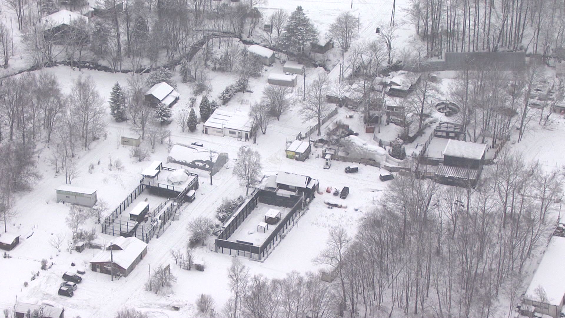 多くの建物が残されたノースサファリ