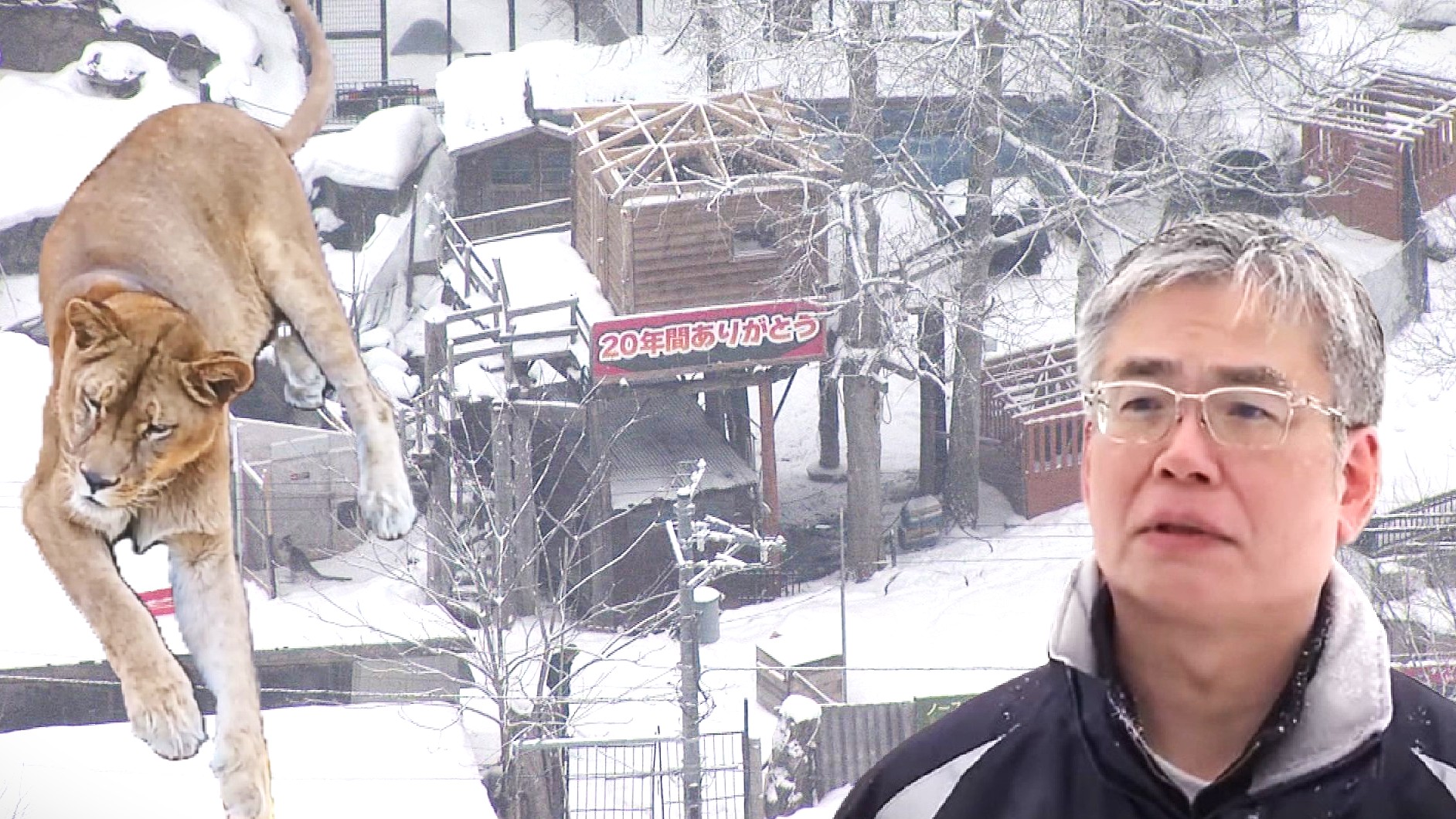 札幌市開発指導課の坪田修一課長は「動物のことはあるが我々としては『建物の除却を進めなさい』ということを継続して言っていくしかない」