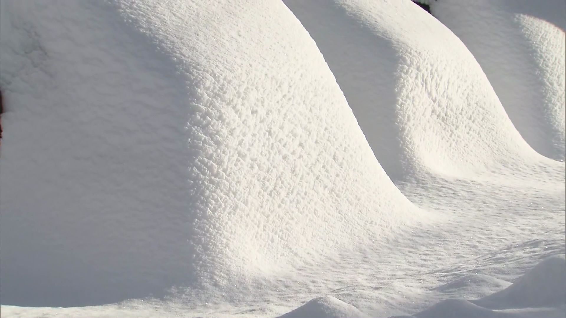 この雪の下にあるのは車です…