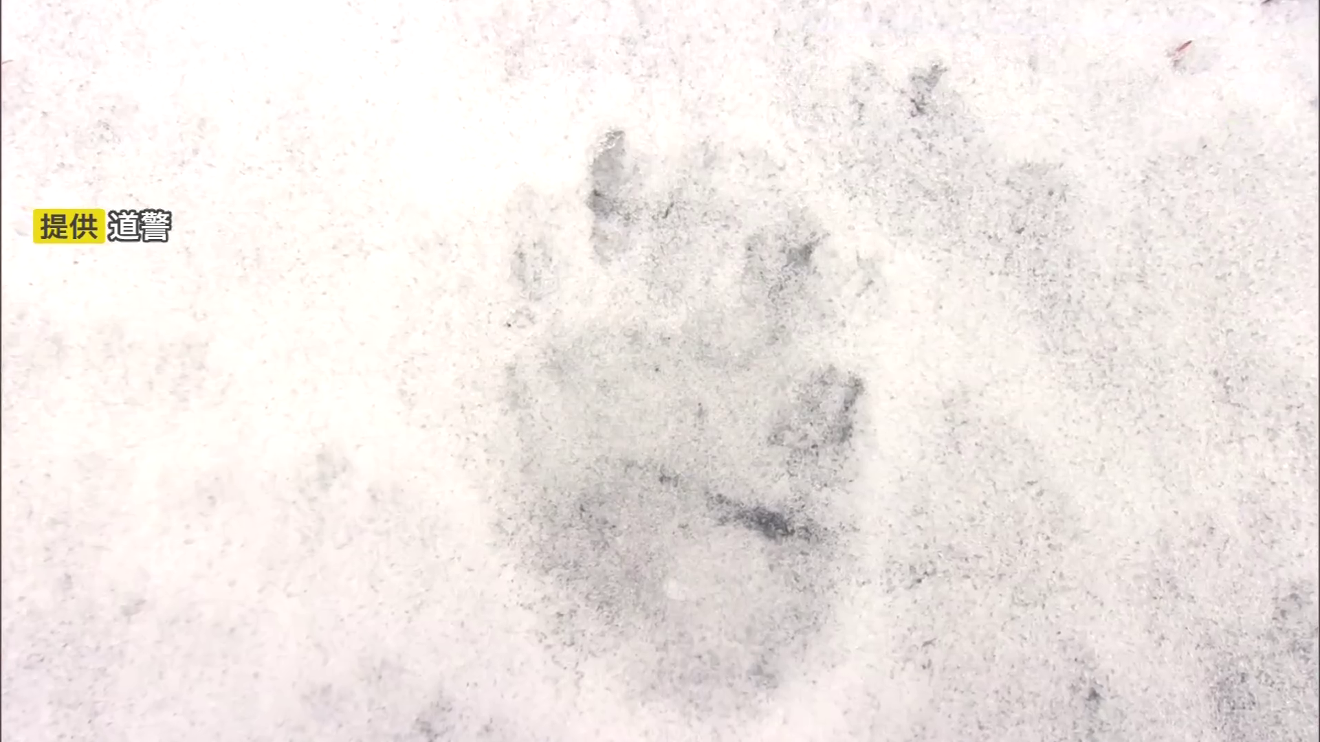 函館市鈴蘭丘町で見つかった足跡(提供:道警)