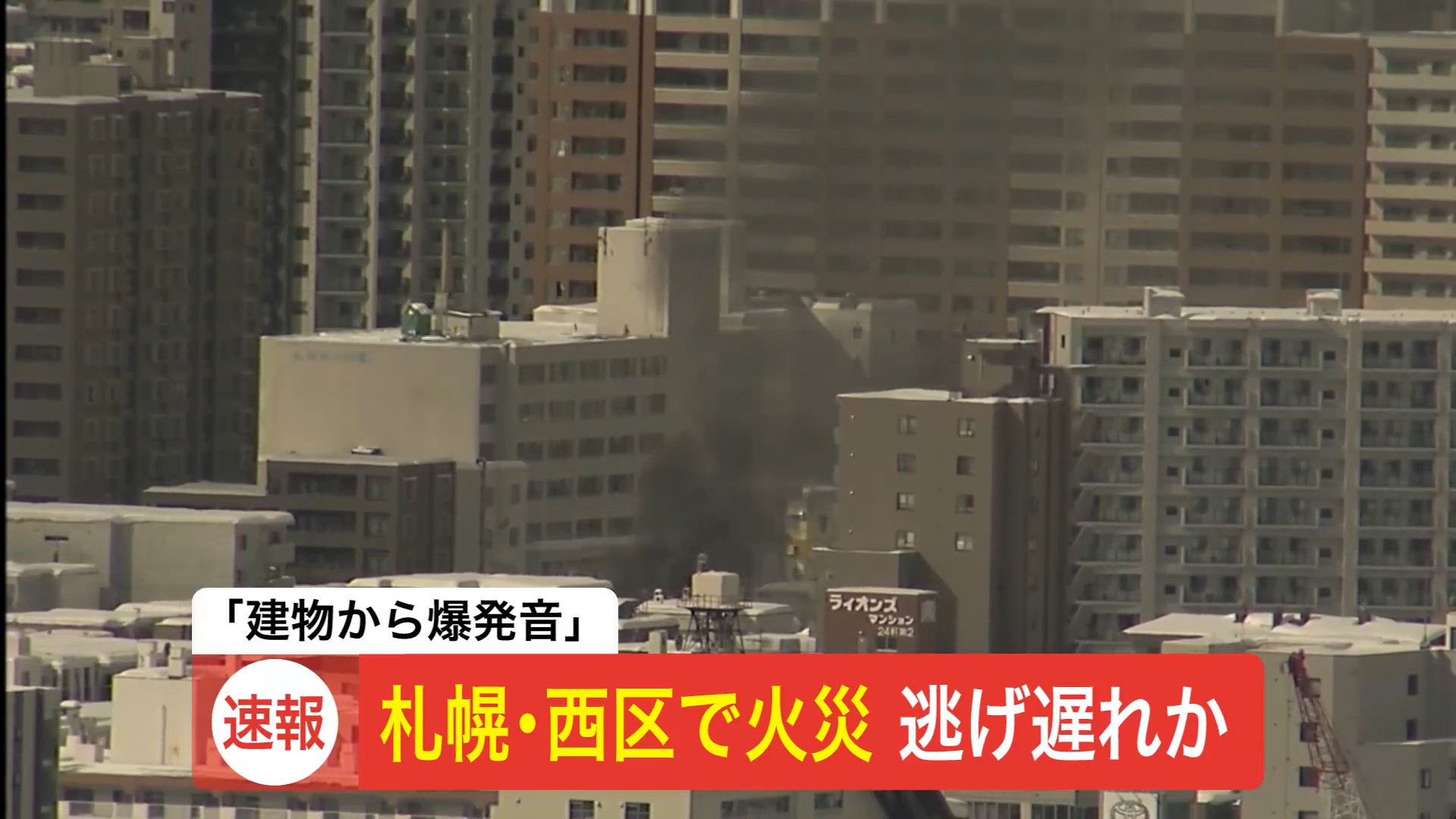 活動歴および当時の関連ビジュアル記録