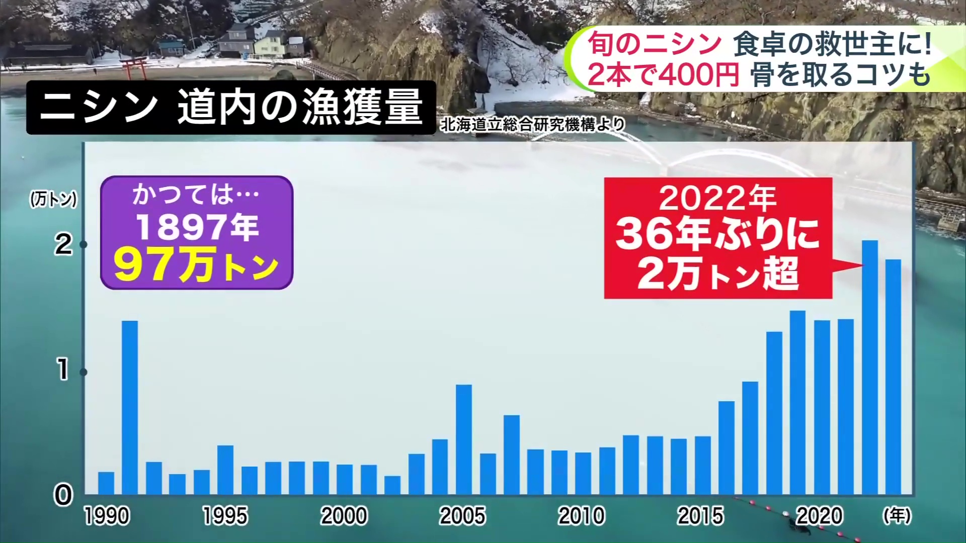 ニシンの漁獲量(道内)