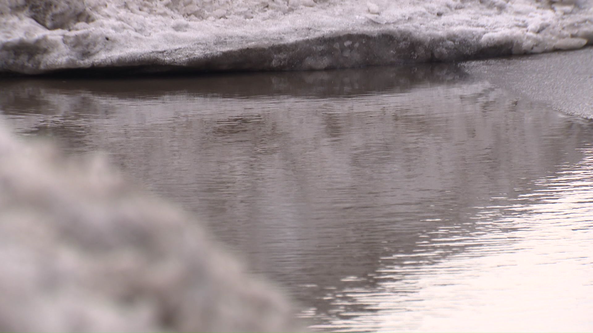 季節外れの暖かさ