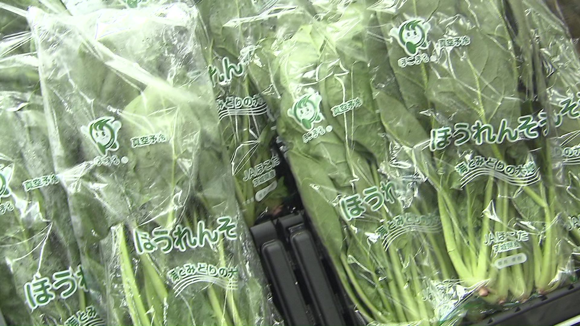 ほうれん草は前年比で65円値下がり
