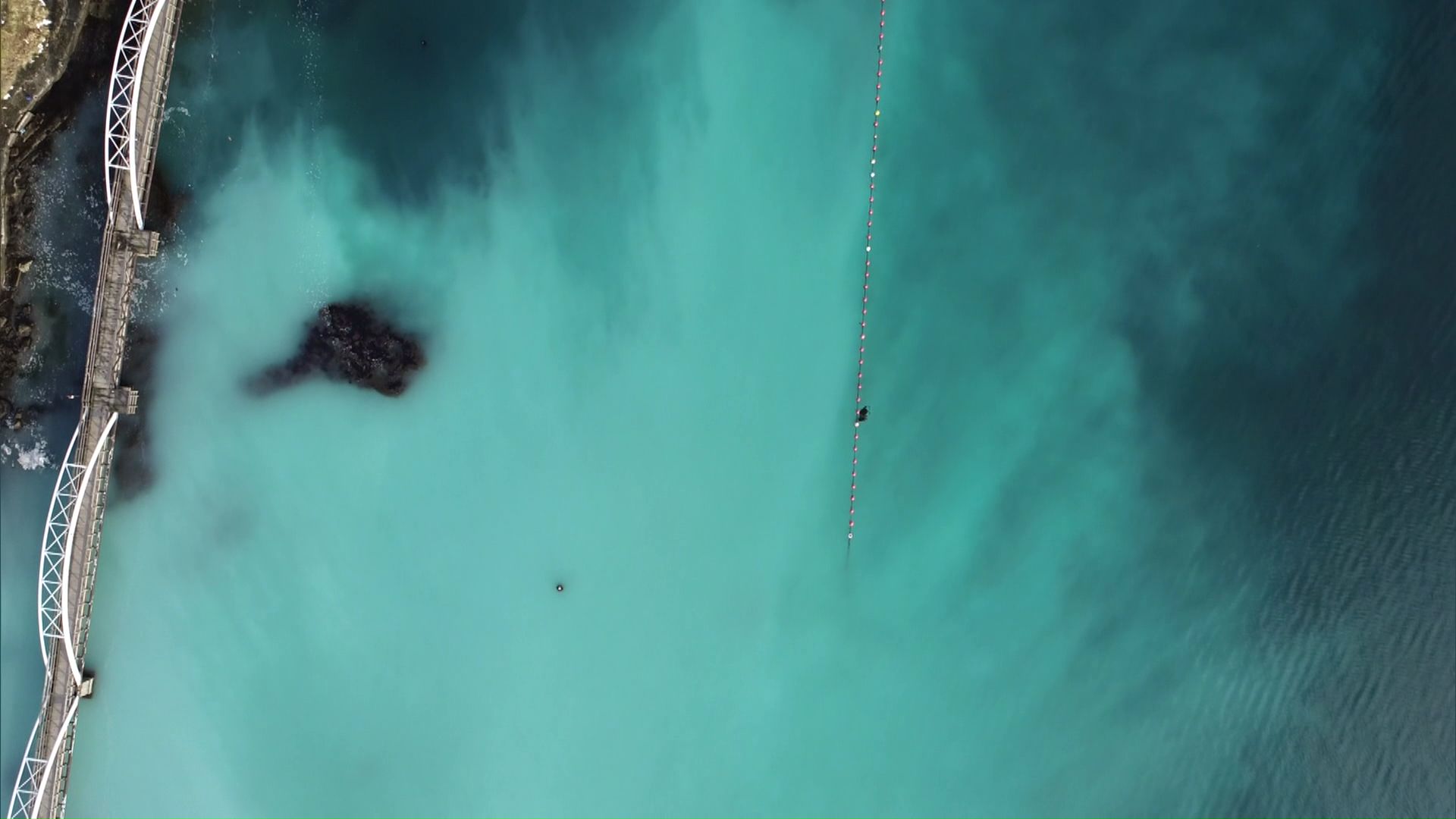 ニシンの大群が産卵し海が乳白色に染まる現象「群来(くき)」(提供:江差町)