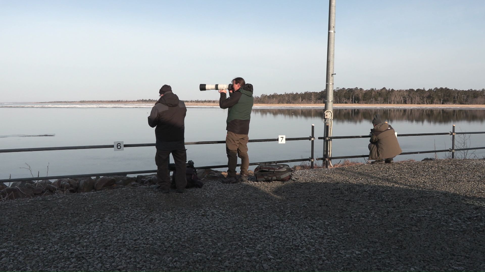 現場は野鳥撮影の人気スポット