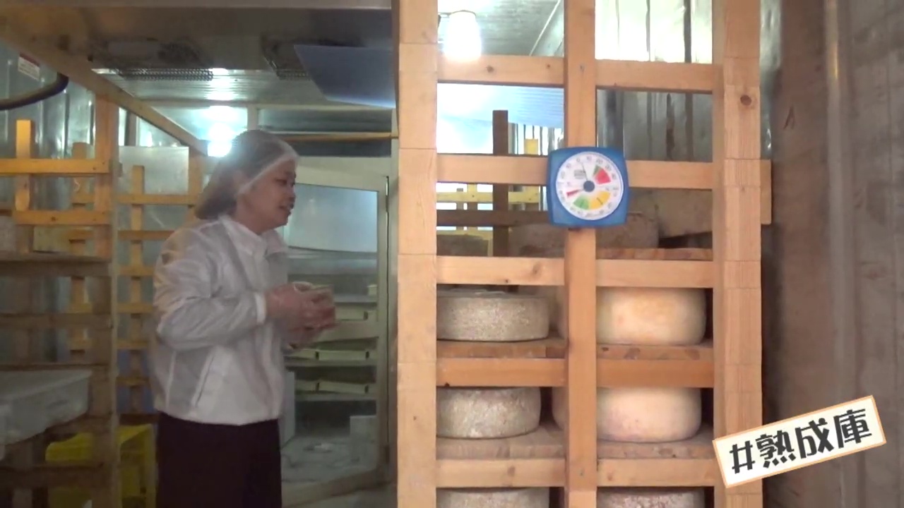 母と2人で8種類のチーズを作る