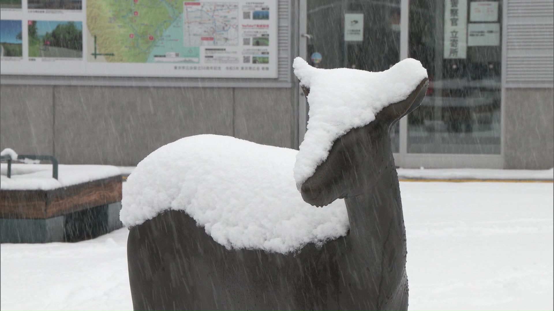 【十勝地方でドカ雪の恐れ】4日午前11時までの24時間降雪量は中札内村で31センチ！5日明け方にかけて今季一番の大雪になる可能性も…JRは道東方面中心に50本運休〈北海道〉