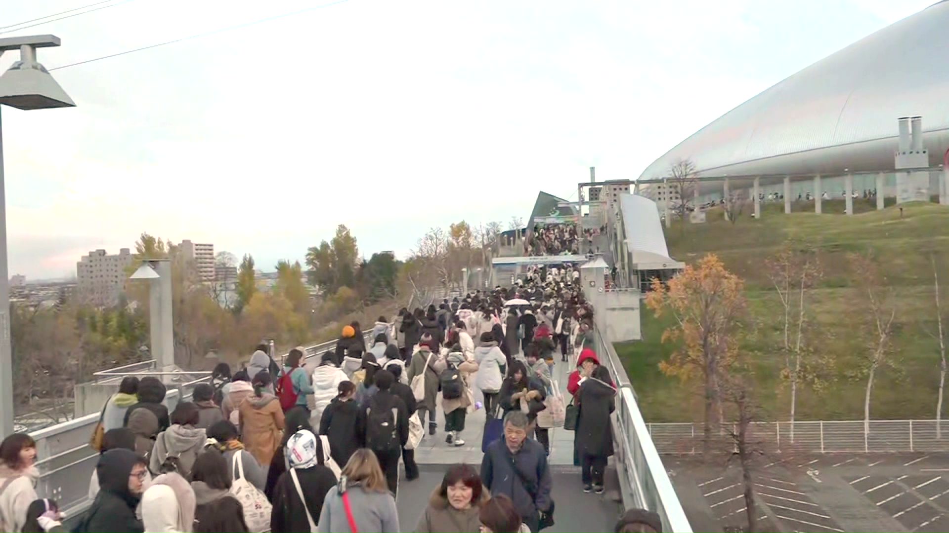 過去のライブ開催時の様子