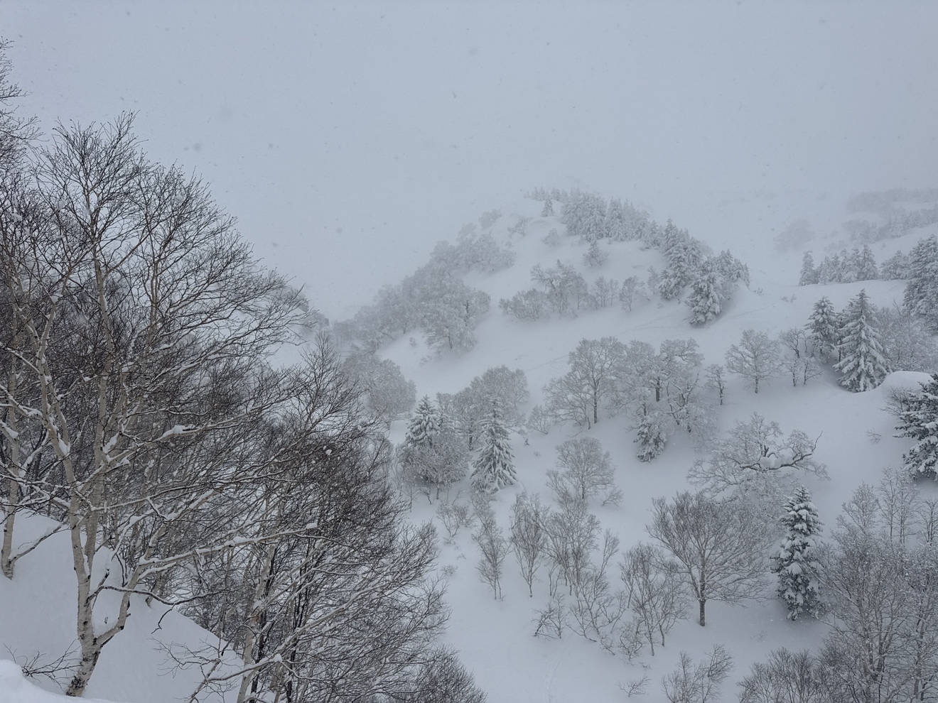 現場付近の様子