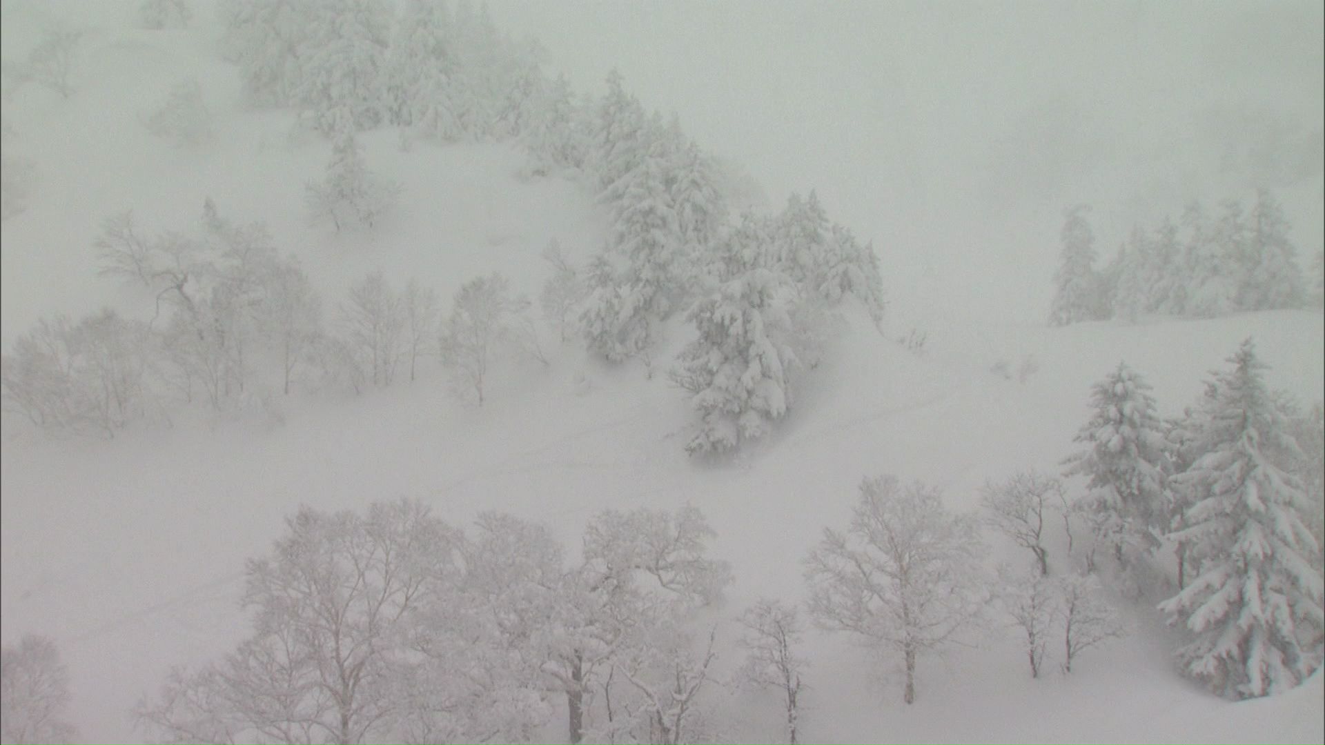 上富良野岳で雪崩(上富良野岳周辺10日午後1時30分ごろ)