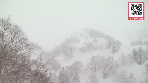 遭難現場付近の山