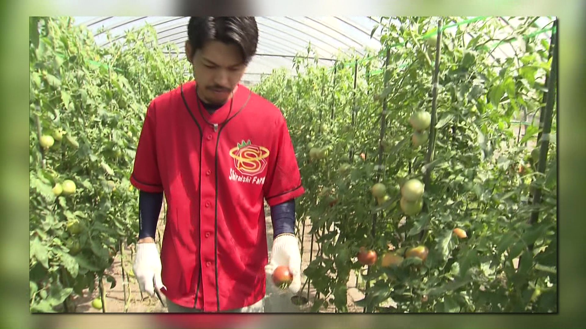 苗植えの時期は燃料消費が増大するという