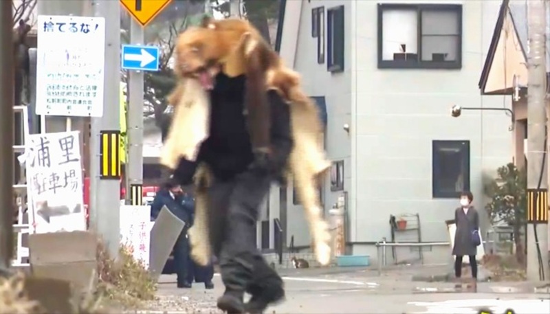 【クマの活動が活発になる前に】市街地を徘徊する想定で「ヒグマ対応訓練」実施…消防・警察・ハンターなど関係機関が連携と駆除にいたる段取りを確認〈2025年の被害受け危機感をもって訓練に〉北海道松前町